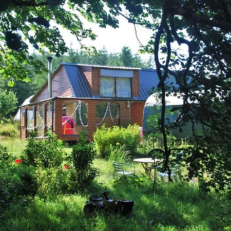 Meadowsweet Forest * Fintown