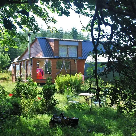 Meadowsweet Forest * Fintown