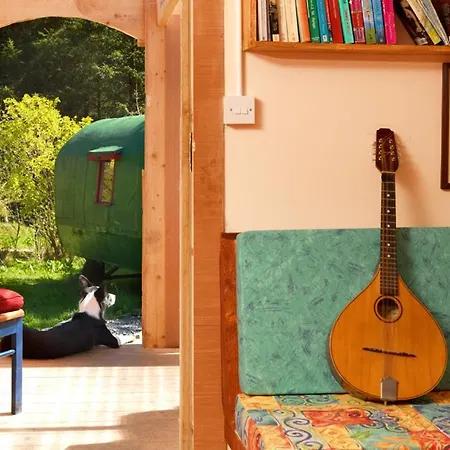 Jaktstuga Meadowsweet Forest Fintown