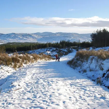 Meadowsweet Forest Jaktstuga Fintown