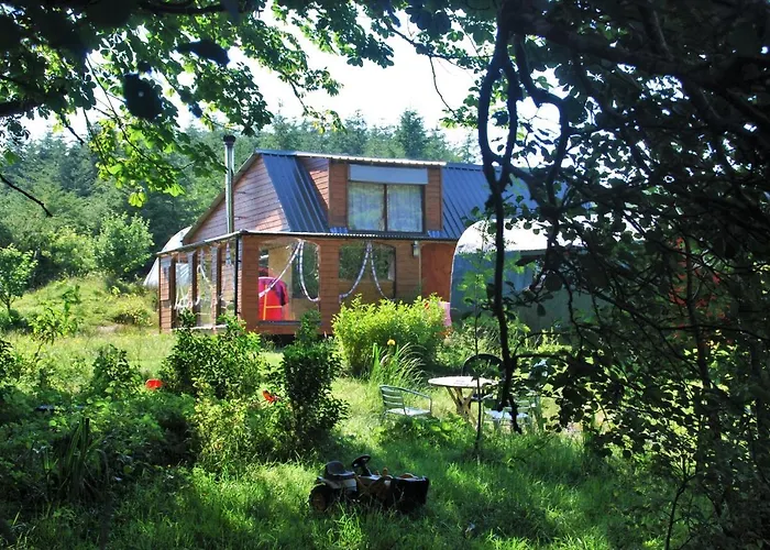 Meadowsweet Forest * Fintown