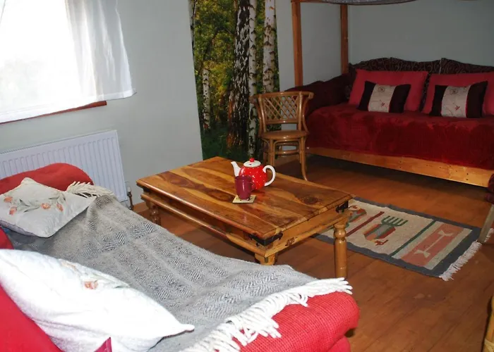 Meadowsweet Forest Fintown