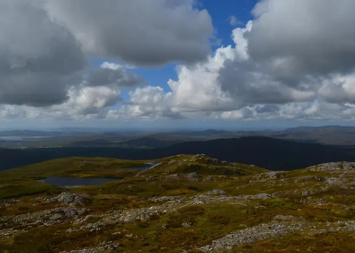 Meadowsweet Forest 山林小屋 *