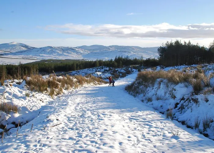 Meadowsweet Forest 山林小屋 Fintown