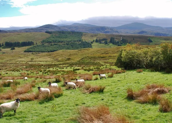Meadowsweet Forest Lodge